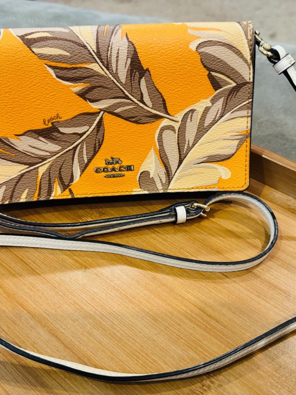 Coach Tropical Leaf Print Leather Crossbody Bag / Wallet on Chain